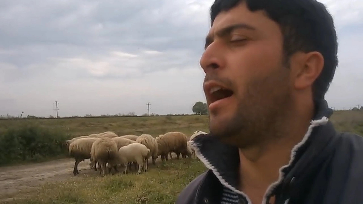 Türkiyə mətbuatı: Azərbaycanlı çoban səsi ilə fenomen oldu – VİDEO