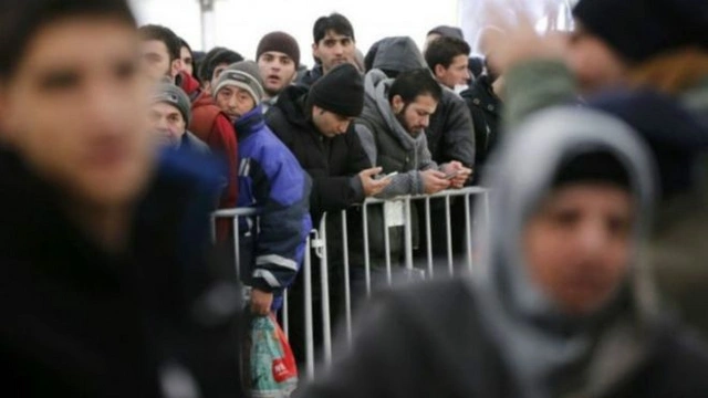 Мигранты отправили из Германии домой крупнейшую в истории сумму