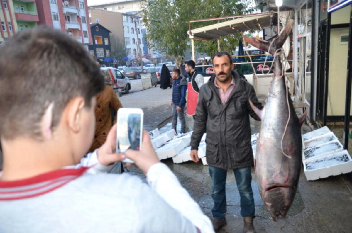 Azərbaycanda tutulan balığa görə Türkiyədə növbə - FOTO