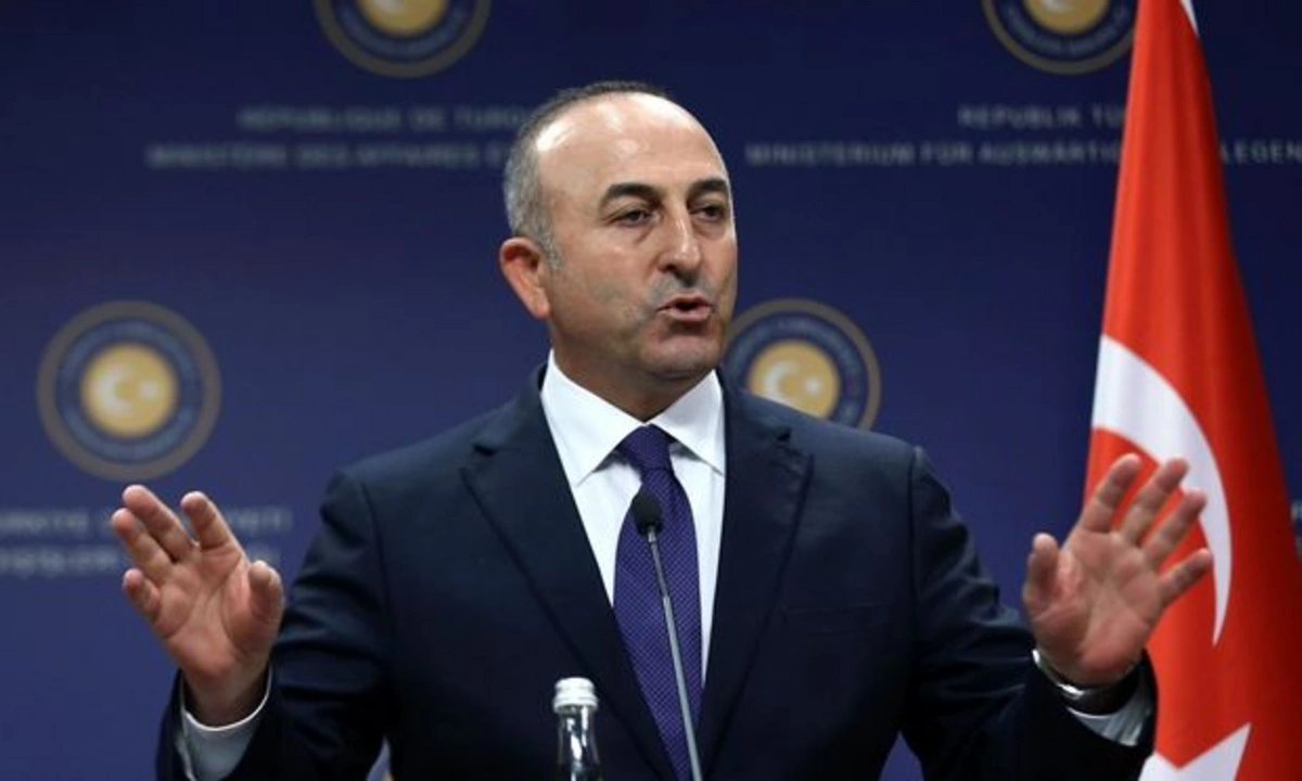 Çavuşoğlu lirənin kəskin ucuzlaşmasının səbəbi haqda