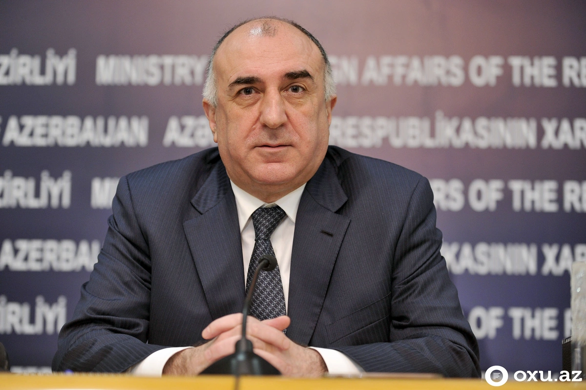 Məmmədyarov 2019-cu ilin xarici siyasət prioritetlərini açıqladı - MÜSAHİBƏ