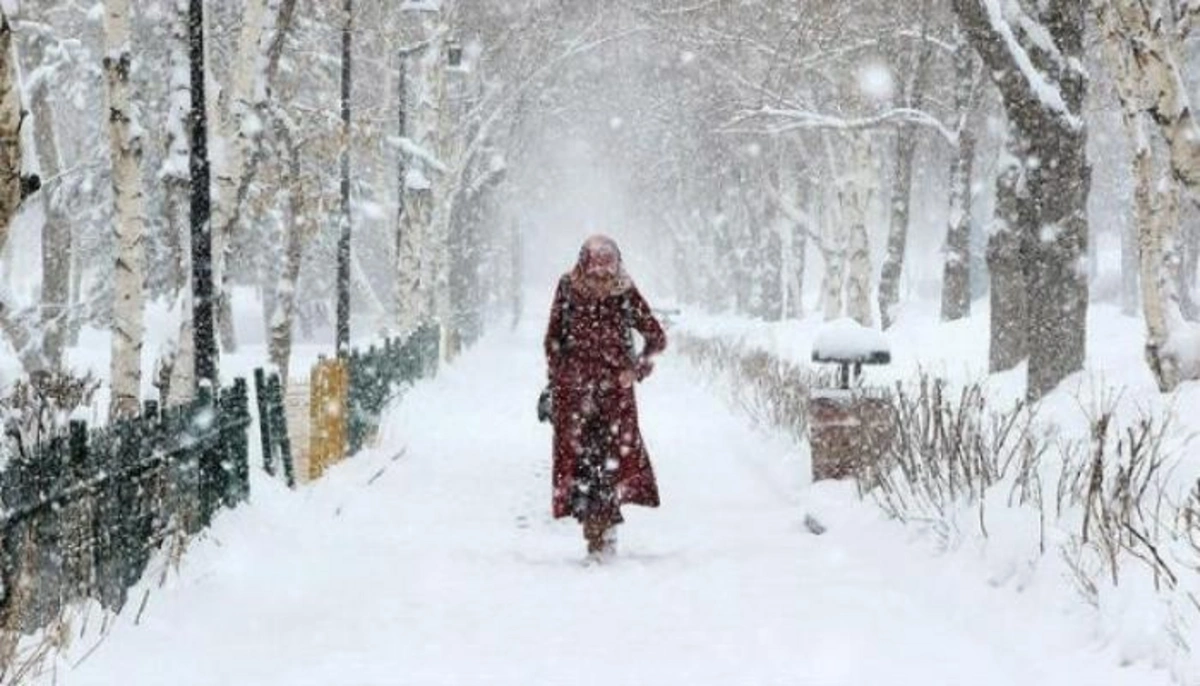 Yeni ilin ilk ayına olan hava proqnozu