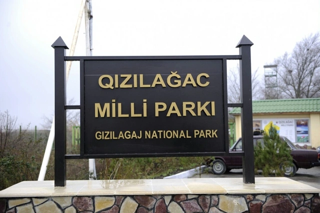 Qızılağac Milli Parkı haqqında Əsasnamə təsdiqləndi