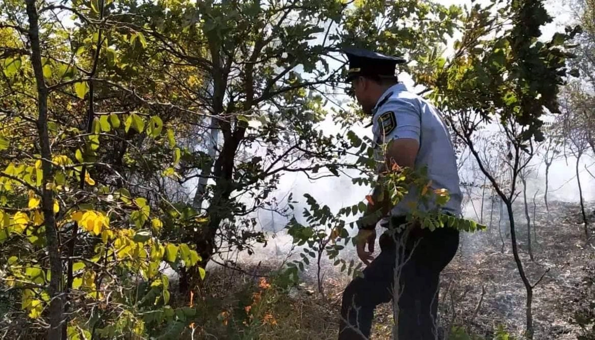 Qubada səhərdən başlayan yanğın davam edir: 20 hektar ərazi yandı - VİDEO