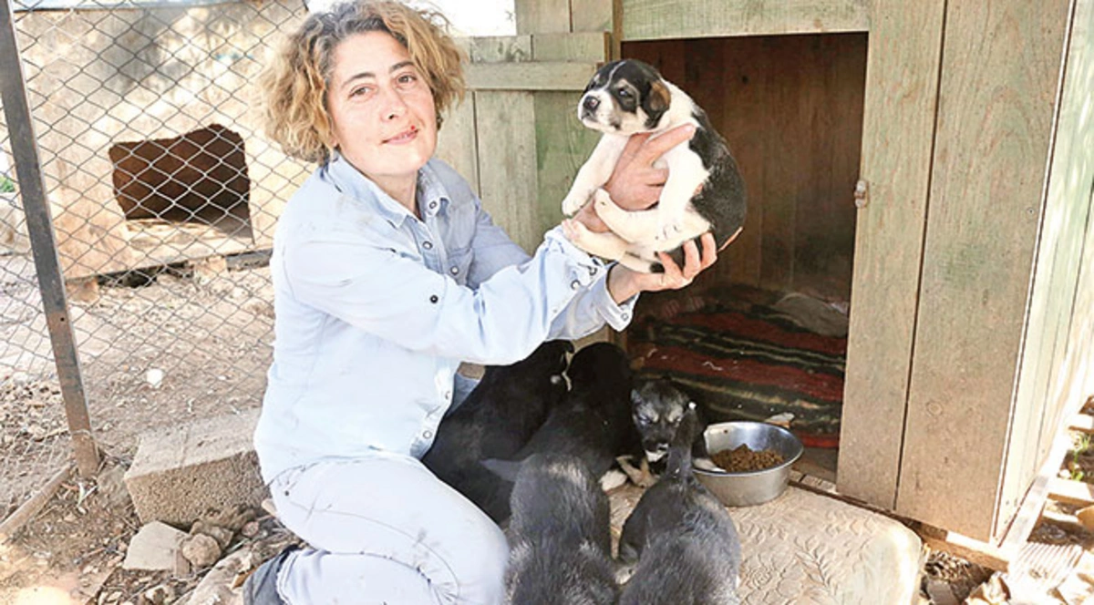 Azərbaycanlı qadından Türkiyədə nümunəvi hərəkət: Uşaqlar kitablarını satıb dəstək oldular - FOTO