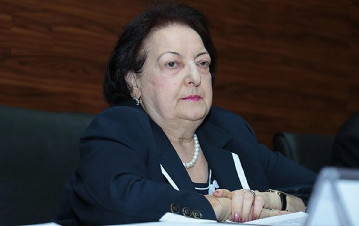 Elmira Süleymanova: İşdən azad olunmağımla bağlı Prezidentin rəsmi qərarını gözləyirəm