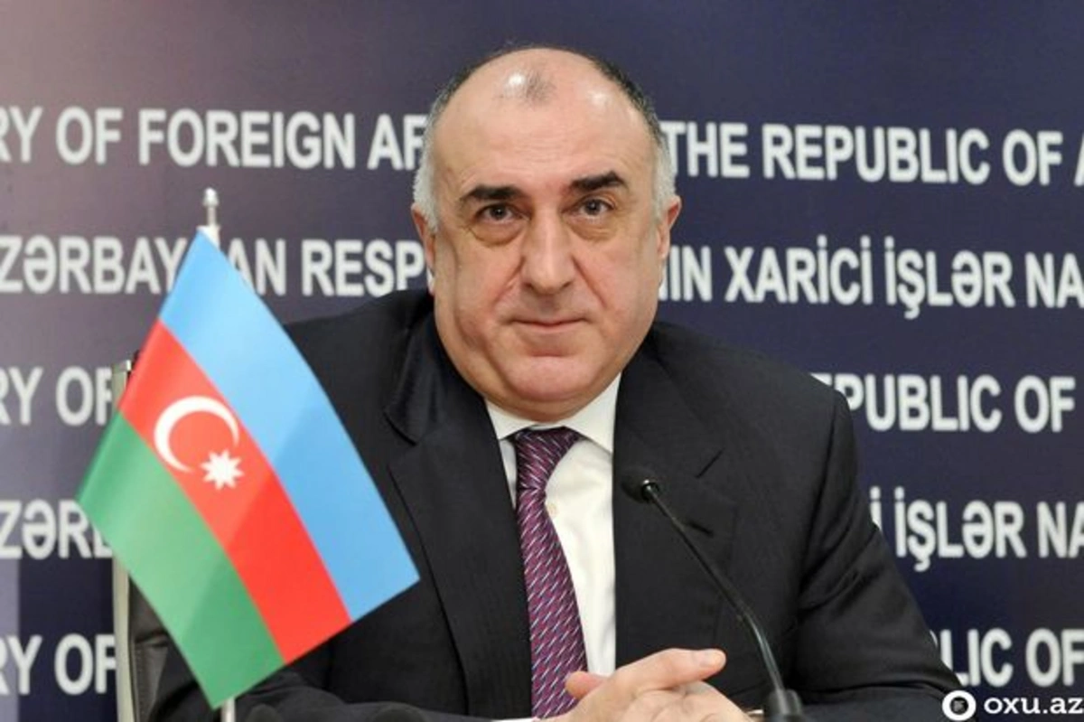 Elmar Məmmədyarov: “Onsuz da bura gələndə karantinə alınacaqlar, elə orada qalsınlar” - VİDEO