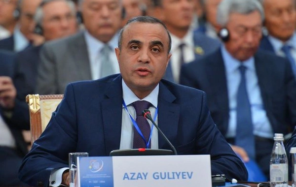 Обнародован новый состав делегации Азербайджана в ПА ОБСЕ