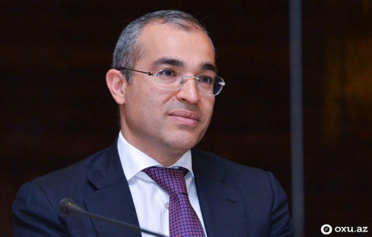 Nazir: “Sahibkarlar üç milyon manata qədər güzəştli kredit götürə bilərlər” - VİDEO