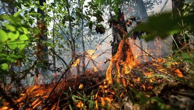 Враг вновь обстрелял Гейгель и Геранбой, в лесных массивах вспыхнули пожары – ОФИЦИАЛЬНО