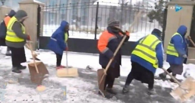 Депутат прокомментировал ситуацию с привлечением пожилых женщин к уборке снега в Баку