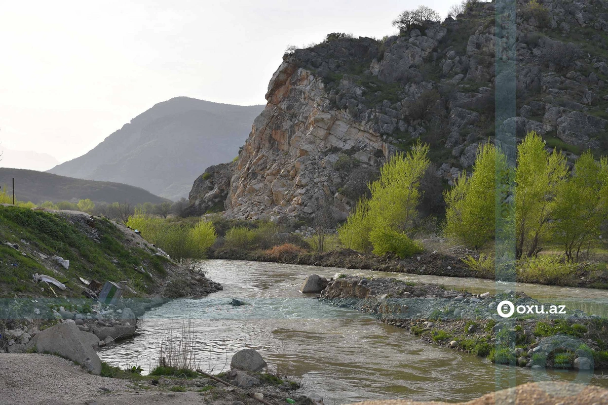 İsrail Zəngilanda camış ferması tikəcək