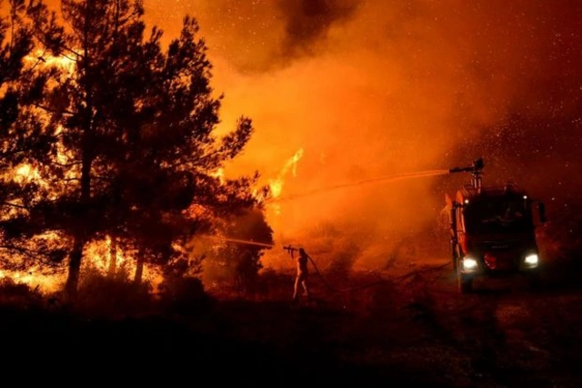 Обнародована последняя ситуация с лесными пожарами в Турции - ФОТО