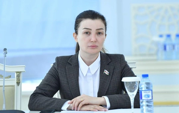 В Азербайджане депутат подала в отставку с одного из занимаемых ею постов