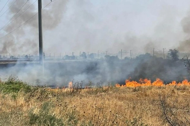 В Азербайджане сгорело 20 гектаров неубранного зерна