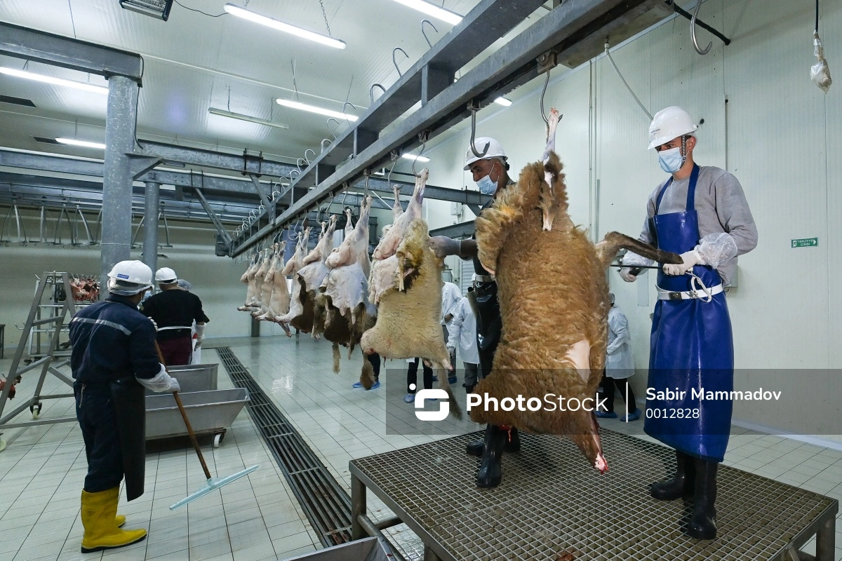 Qurban bayramında fəaliyyət göstərəcək müasir kəsim məntəqələri  - FOTOREPORTAJ