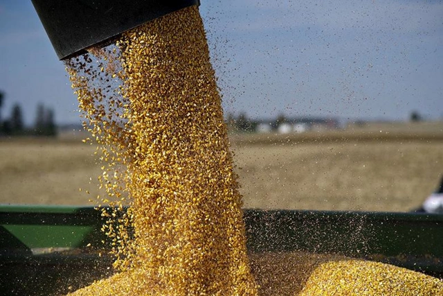 Россия и Турция подтвердили "пакетный" характер зерновых договоренностей