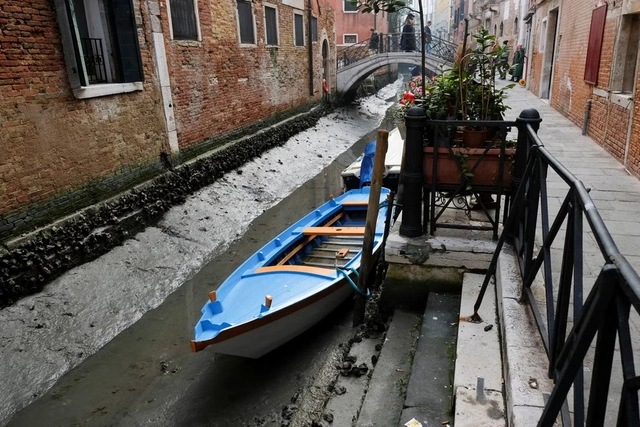 Venesiyanın tarixi kanalları lilli xəndəklərə çevrildi - FOTO/VİDEO
