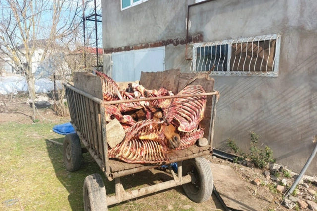 В Джалилабадском районе задержан продавец конины - ФОТО