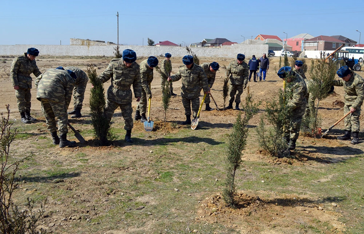 Azərbaycan Ordusunda ağacəkmə aksiyaları keçirilib - FOTO