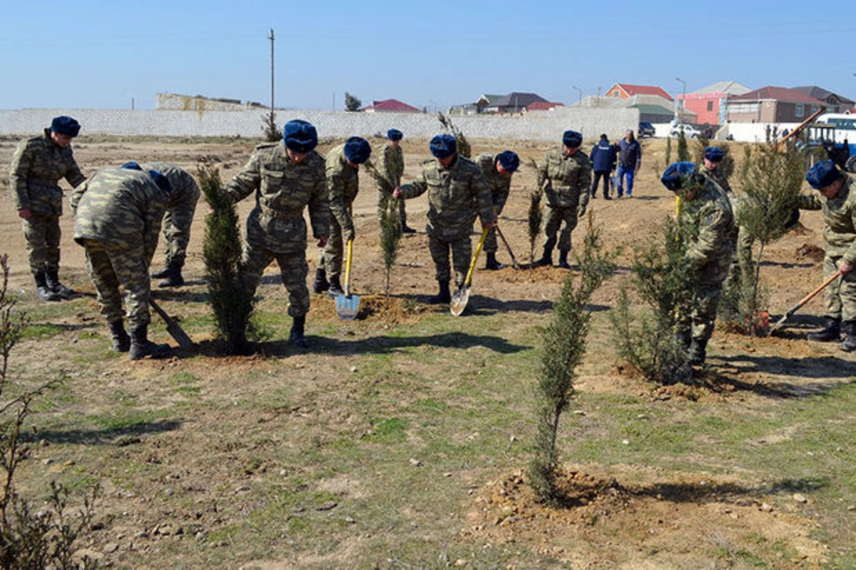 В азербайджанской армии проведены акции по посадке деревьев - ФОТО