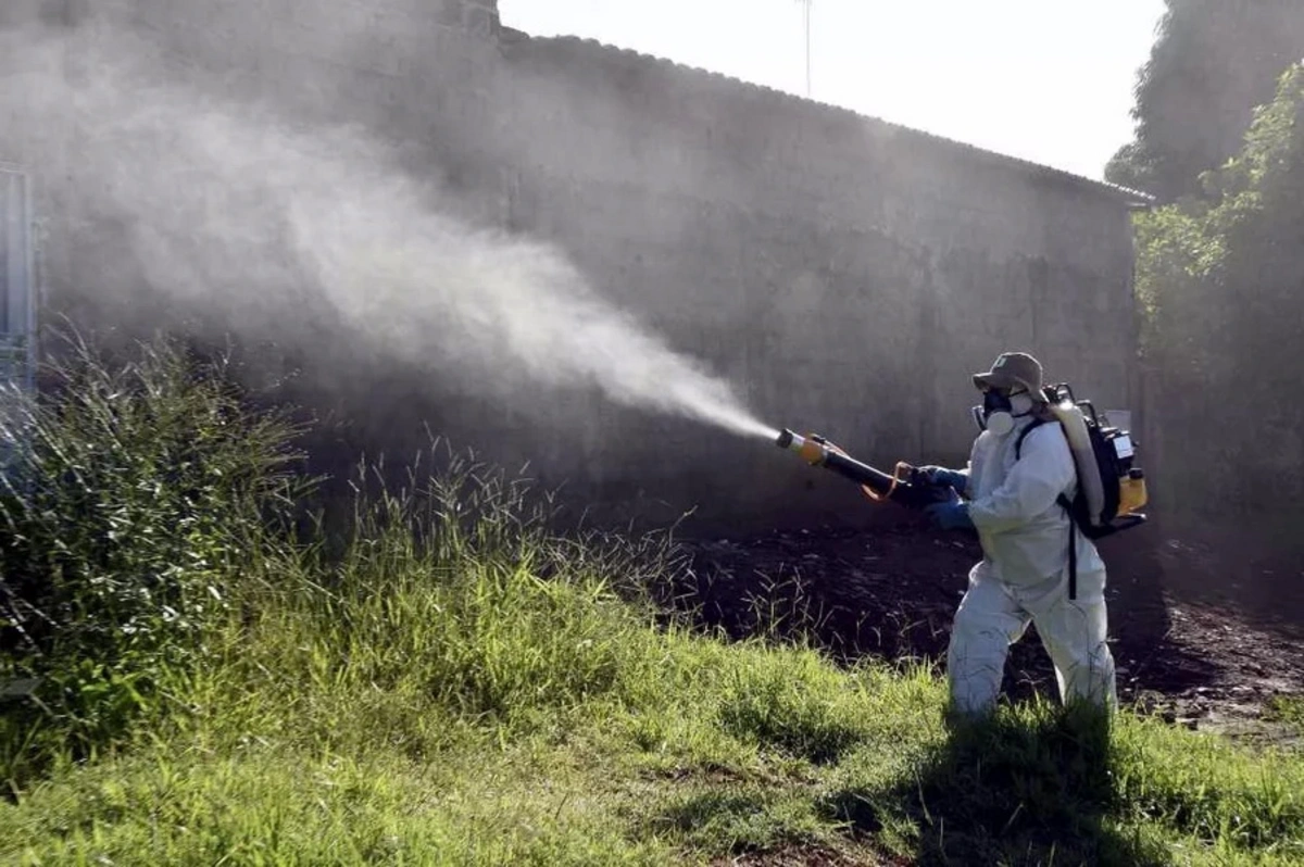 Argentinada epidemiya: 70 mindən çox yoluxma