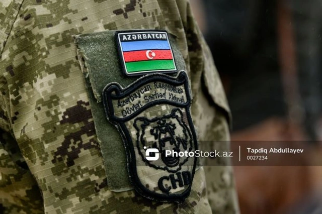 В Азербайджане генерала отправили в запас