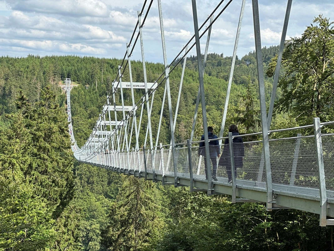 Almaniyada piyadalar üçün dünyanın ən uzun asma körpülərindən biri açılıb - FOTO