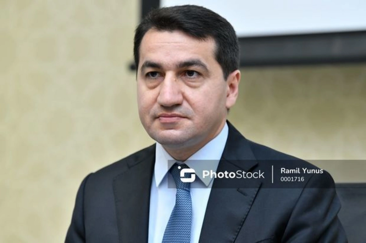 Хикмет Гаджиев: Отчет Окампо содержит необоснованные обвинения