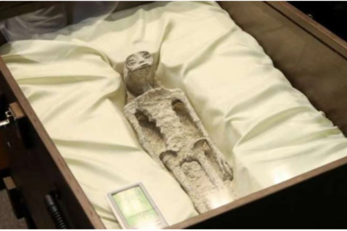 В парламенте Мексики  продемонстрировали мумии "инопланетян" - ФОТО/ВИДЕО