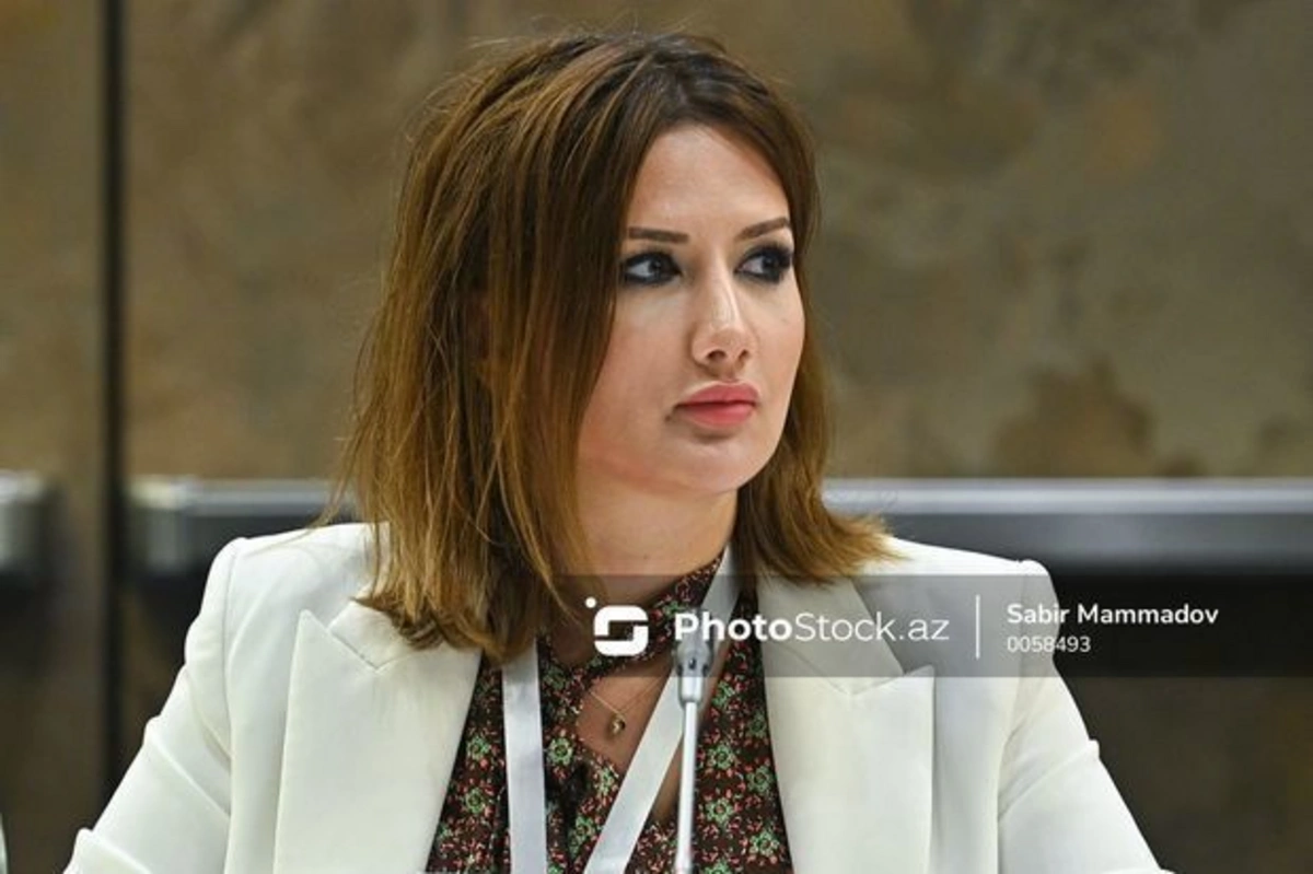 Представитель общины: Игнорирование прав западных азербайджанцев является оправданием преступлений