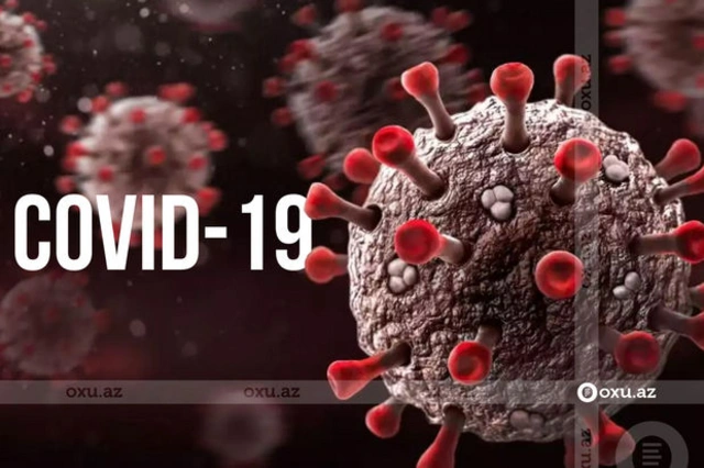 Новая волна коронавируса: будут ли приняты меры предосторожности?