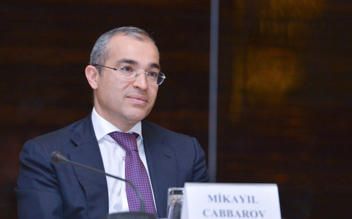 Mikayıl Cabbarov: “Azərbaycanda qeyri-neft-qaz sektoru üzrə investisiya qoyuluşları 17% artıb” - FOTO