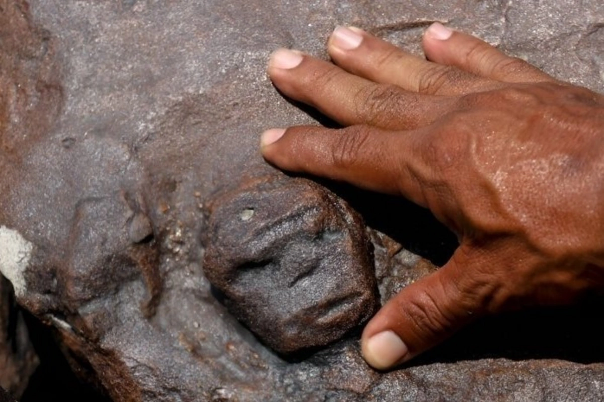 Тайны Амазонии: отступившая вода обнажила гравюры возрастом более 2 000 лет - ФОТО