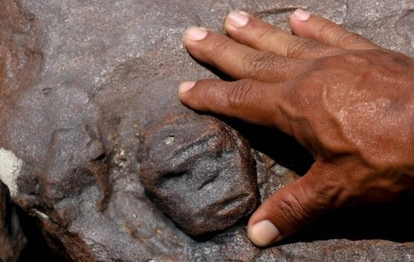 Тайны Амазонии: отступившая вода обнажила гравюры возрастом более 2 000 лет - ФОТО