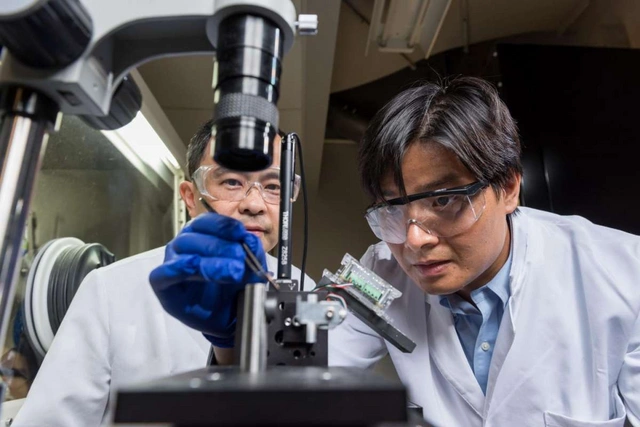 Китайские ученые открыли восемь новых неизвестных вирусов и планируют поэкспериментировать с ними