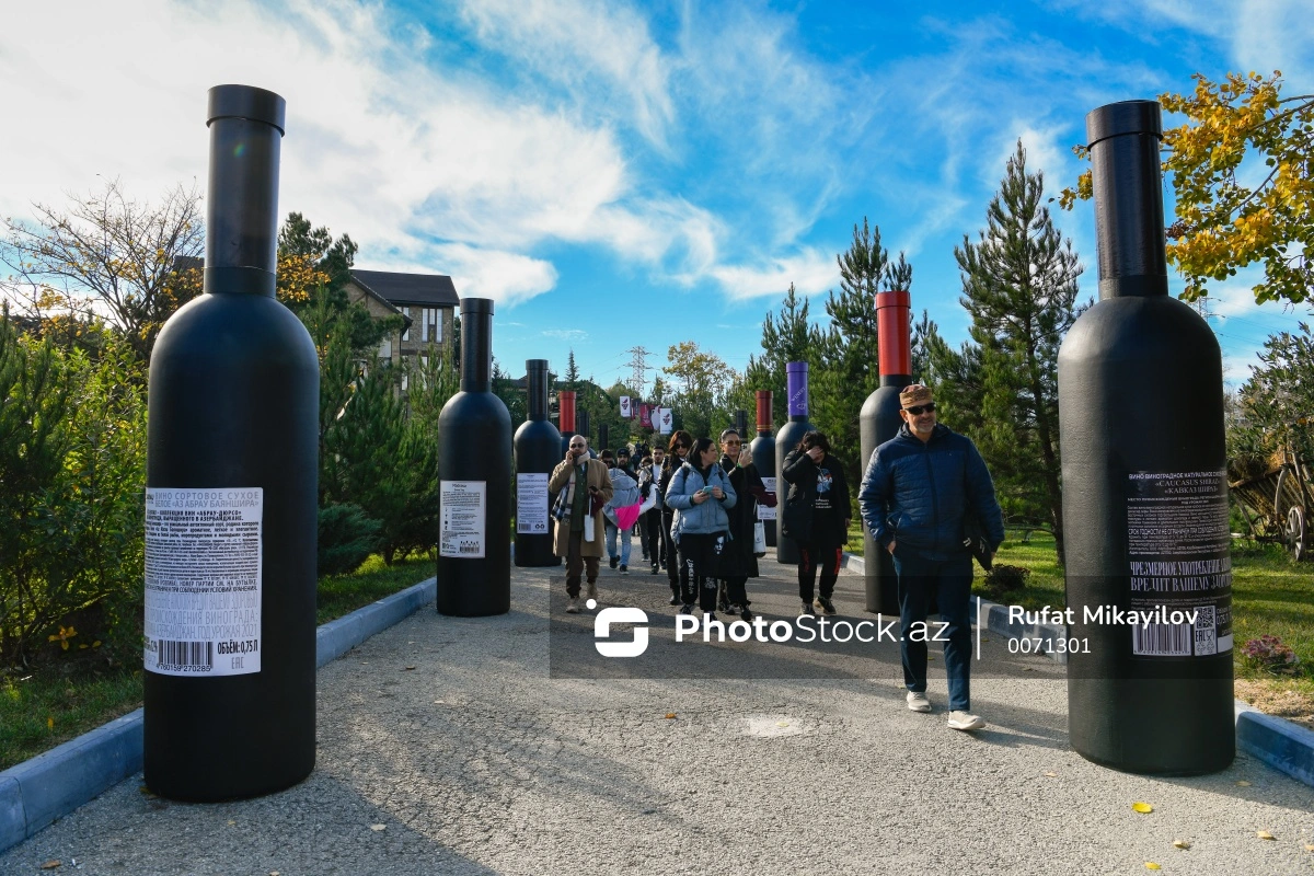 Şamaxıda İkinci Üzüm və Şərab Festivalına start verilib - FOTO/VİDEO