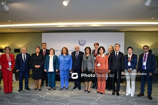 В Баку проходит международная конференция по проблеме бытового насилия - ФОТО