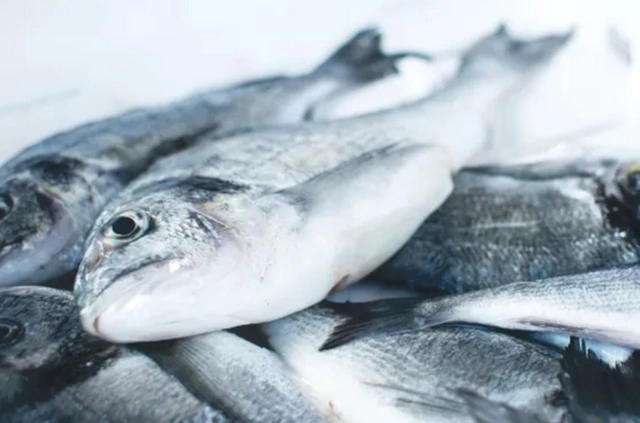 Yaponiyada minlərlə ton sardina və skumbriya balığı sahilə çıxıb - VİDEO