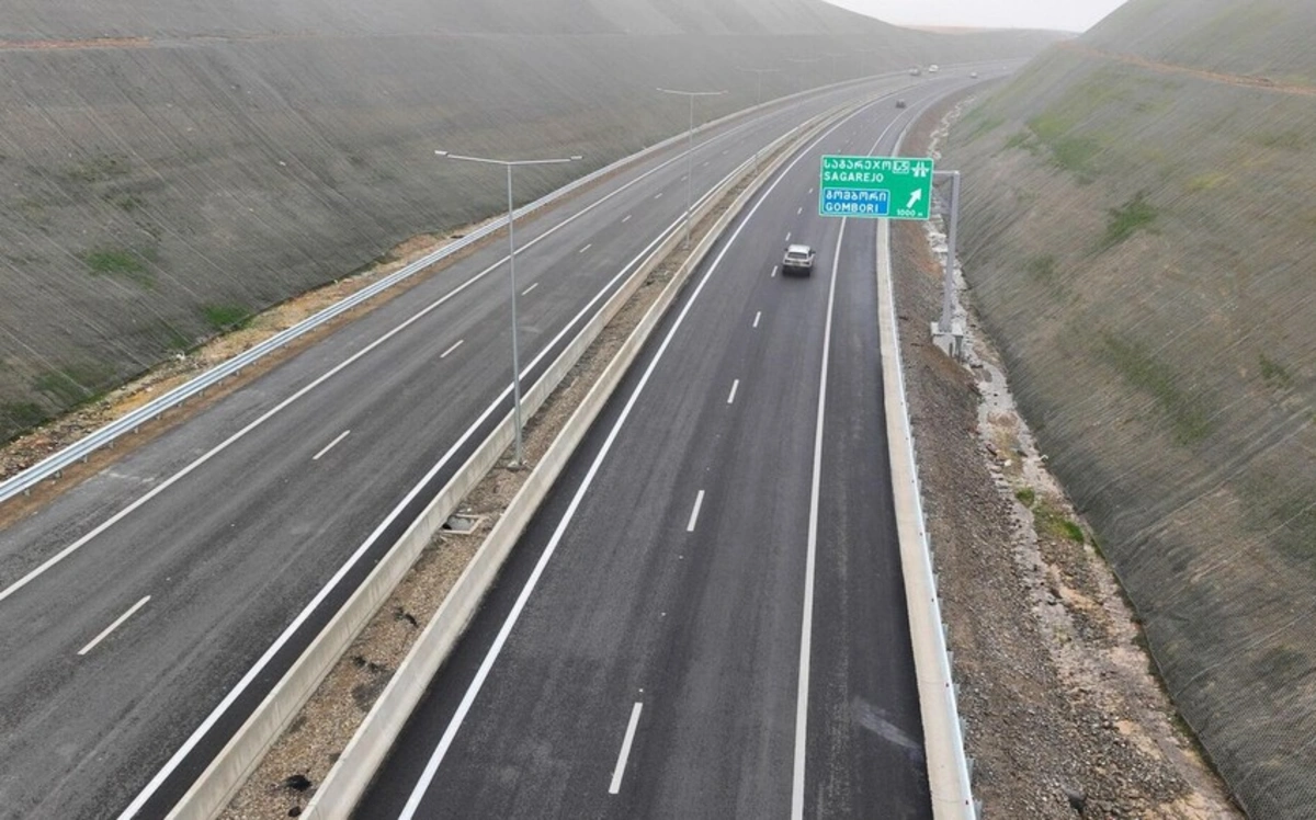 Karseladze: “Gürcüstanla Azərbaycan arasında avtomobil yolunun bir hissəsi inşa edilib”
