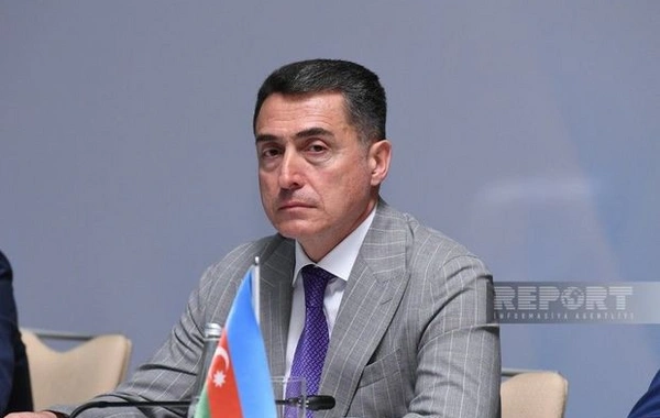 Али Гусейнли: Доверительные отношения президентов - основа стратегического партнерства Азербайджана и России
