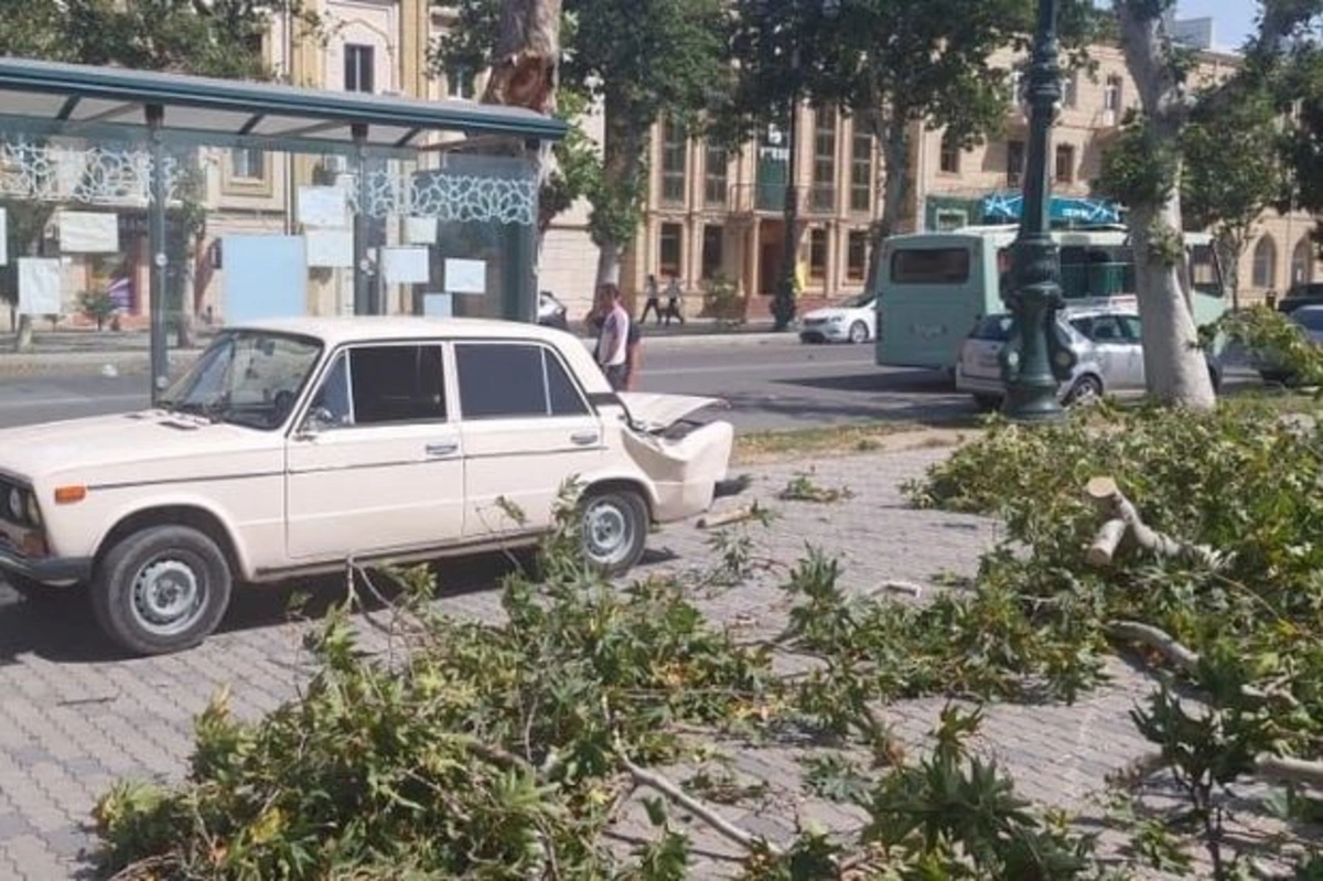 Сильный ветер в западном регионе страны привел к ряду негативных последствий - ФОТО/ВИДЕО