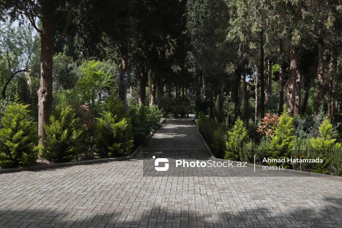 Bakıda yeni Nəbatat Parkı yaradılacaq