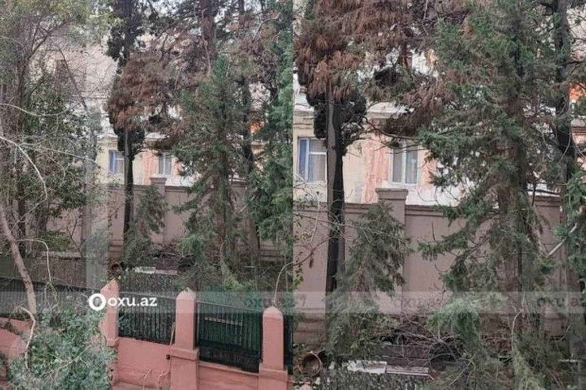 Oxu.Az işıqlandırdı, Səbail sakinlərinin problemi həll edildi - FOTO