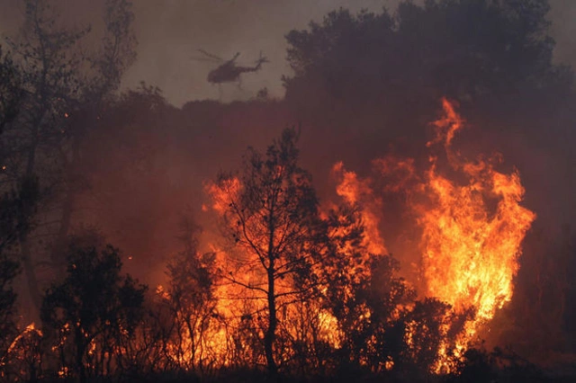 В Чили бушуют лесные пожары: есть погибшие - ФОТО/ВИДЕО
