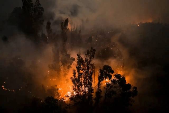 В Чили число жертв лесных пожаров приблизилось к 100 - ОБНОВЛЕНО + ФОТО/ВИДЕО
