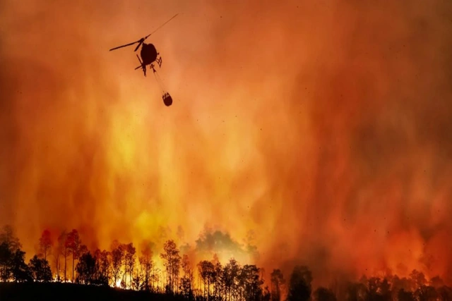 Выросло число погибших в результате лесных пожаров в Чили - ОБНОВЛЕНО + ВИДЕО