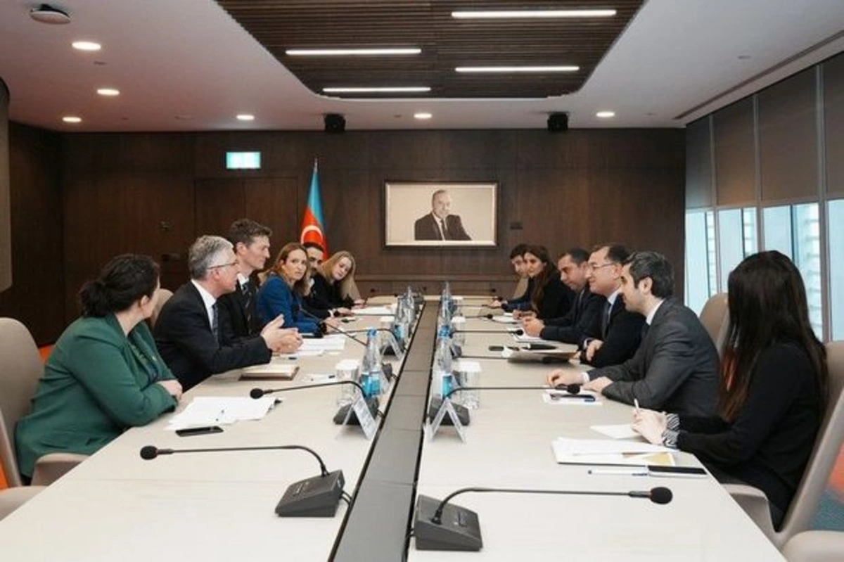 Азербайджан и Великобритания обсудили сотрудничество в рамках COP - ФОТО