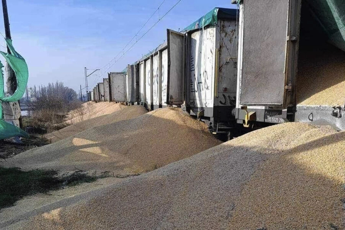 В Польше неизвестные высыпали на землю 160 тонн украинского зерна - ВИДЕО
