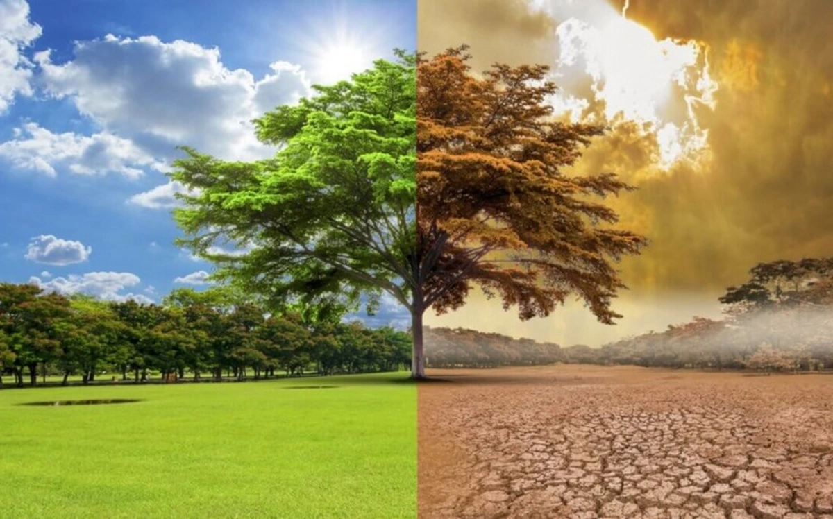 Britaniyalı professor: “İqlim dəyişikliyi dövlətlərin iqtisadi rifahına birbaşa təsir göstərir”